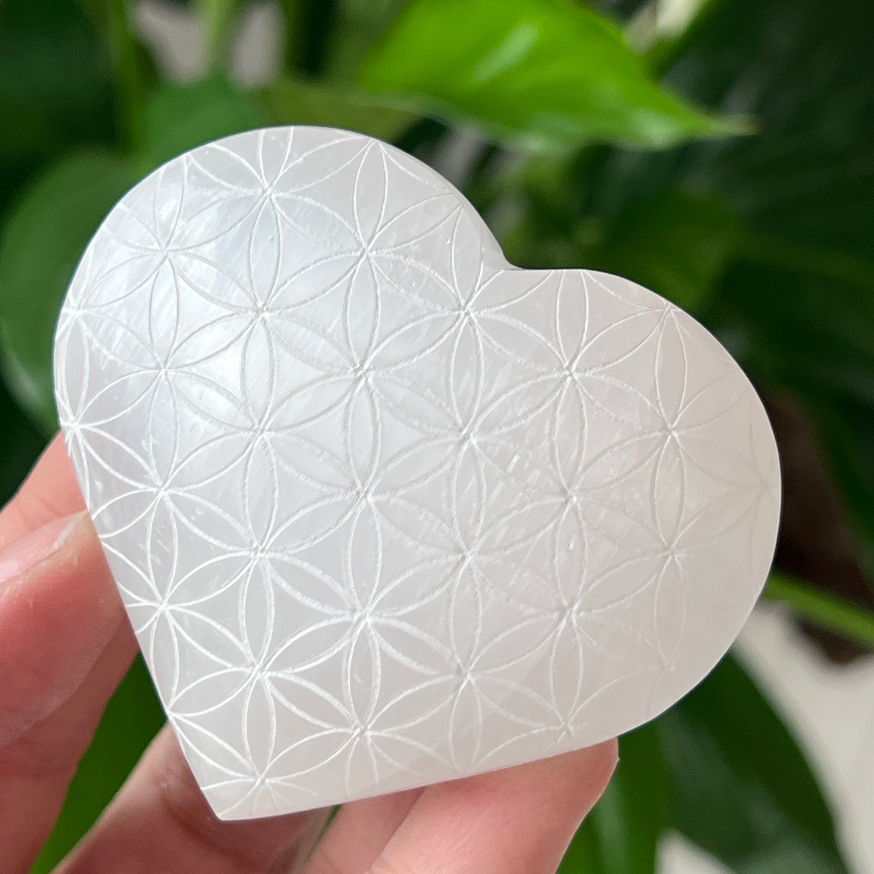 Inima selenit | Flower Of Life