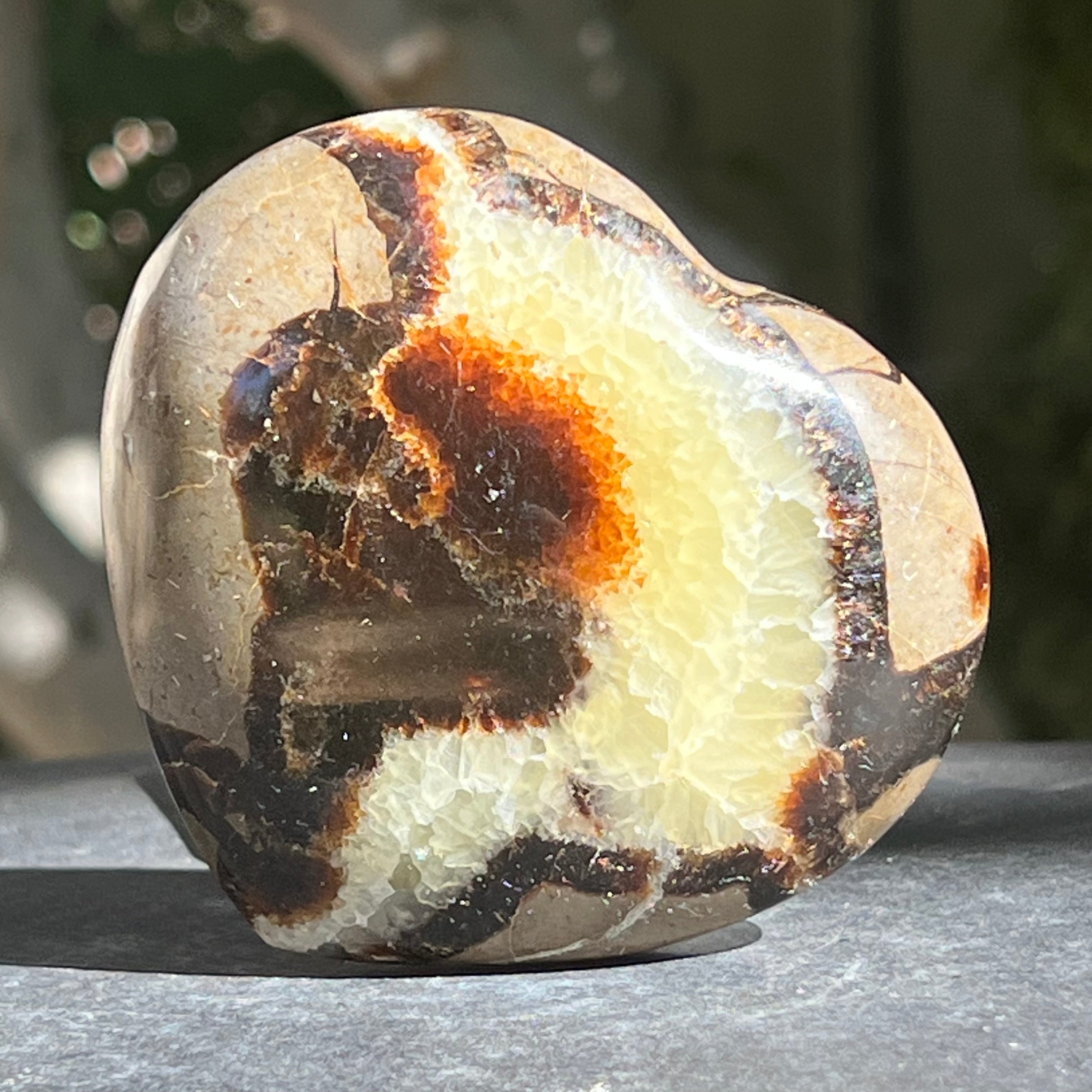 Inima septaria XL model 3