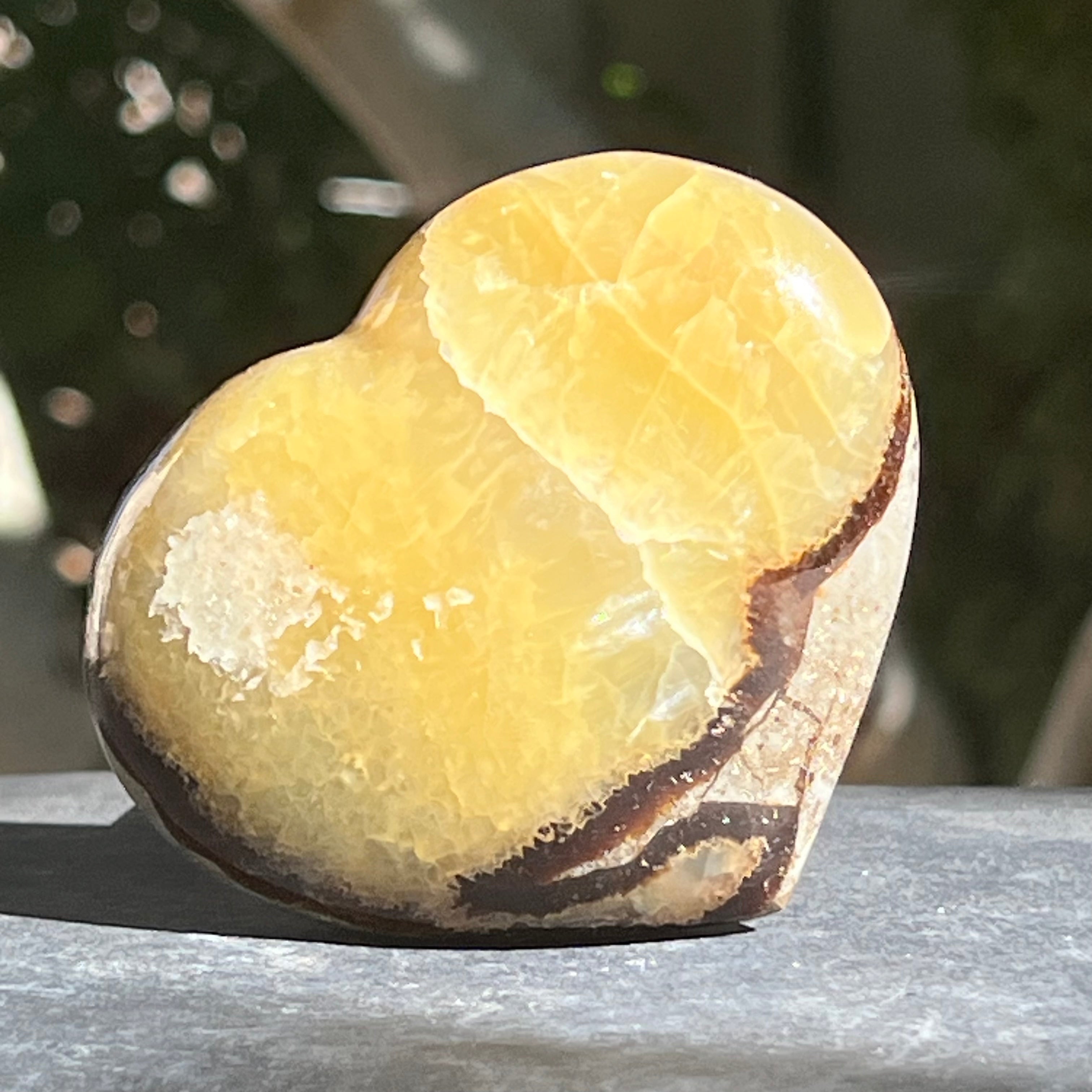 Inima septaria XL model 5
