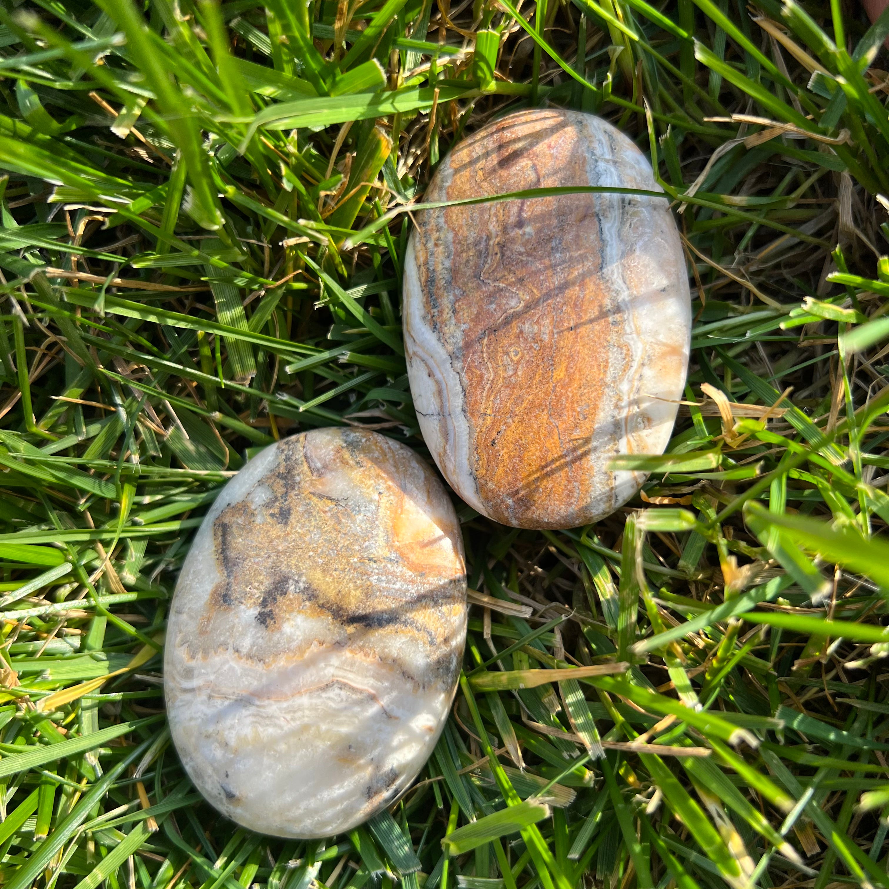 Jasp albina / bumblebee palmstone m1
