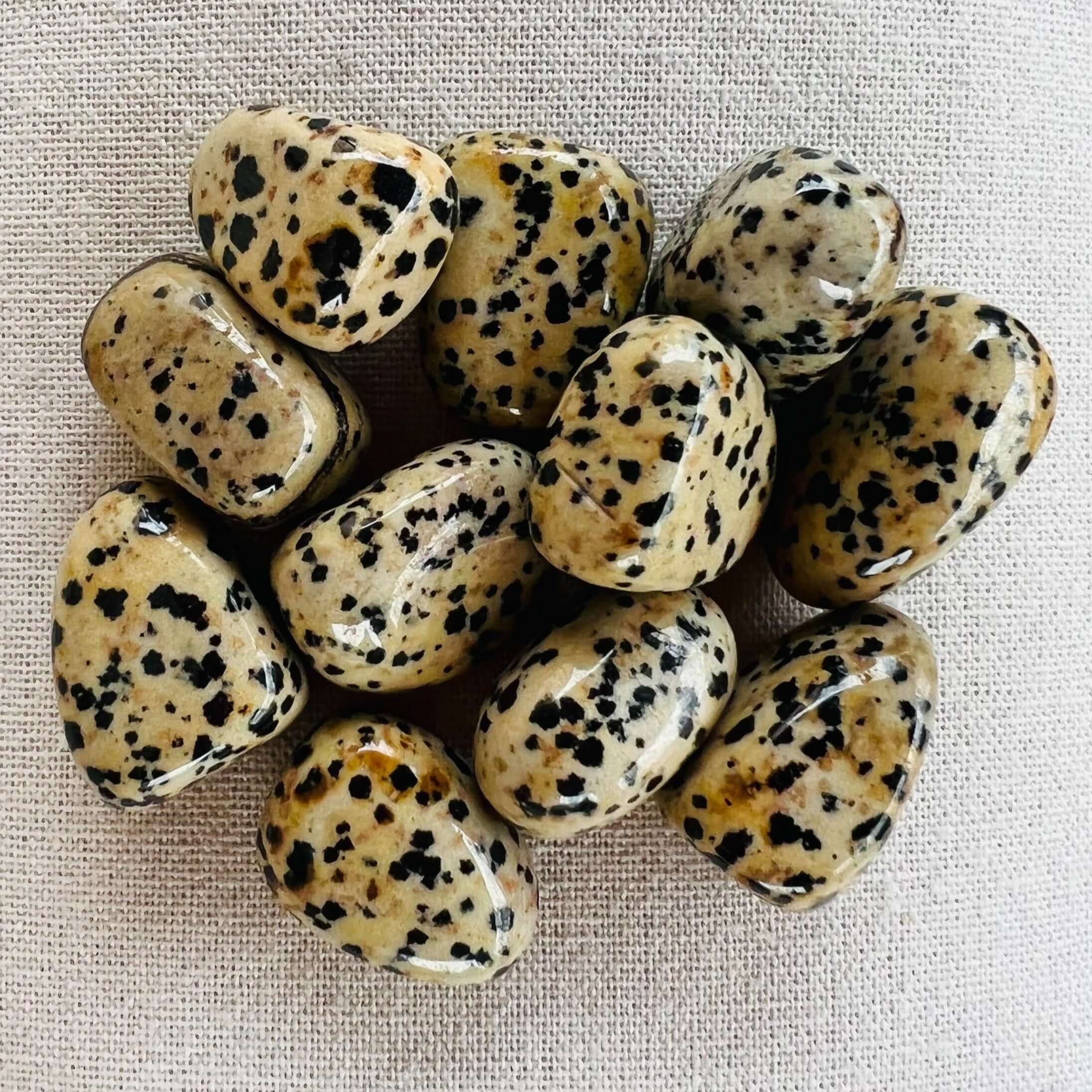 Jasp dalmatian piatra rulata mini
