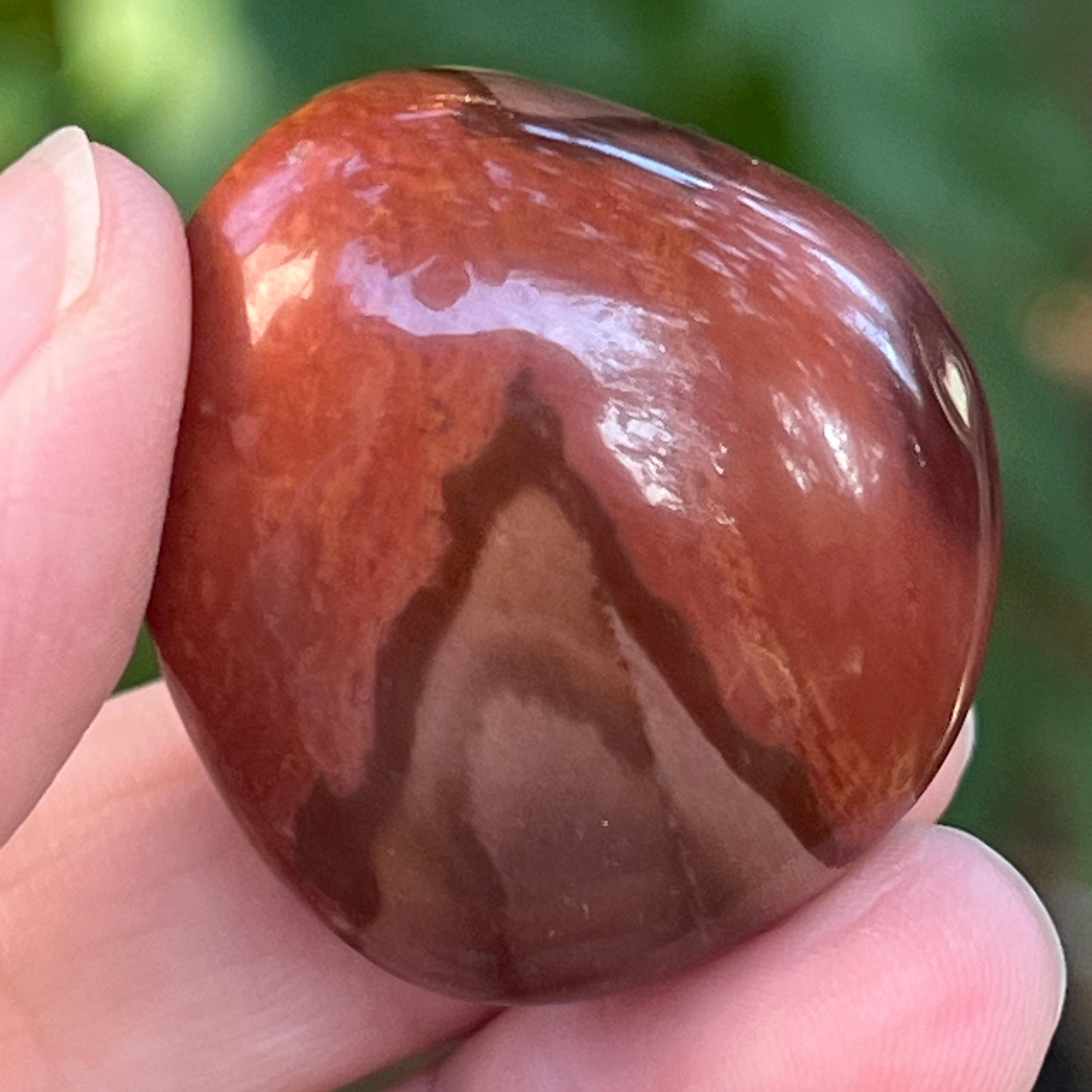 Jasp policrom palmstone m15