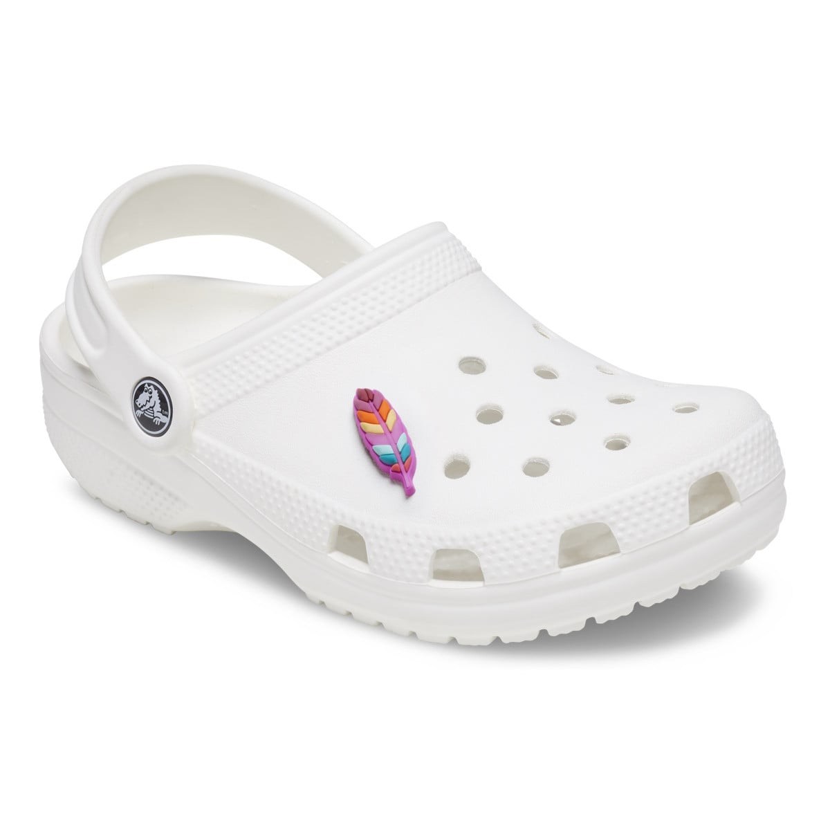 Jibbitz Crocs GITD Desert Feather - poza 3