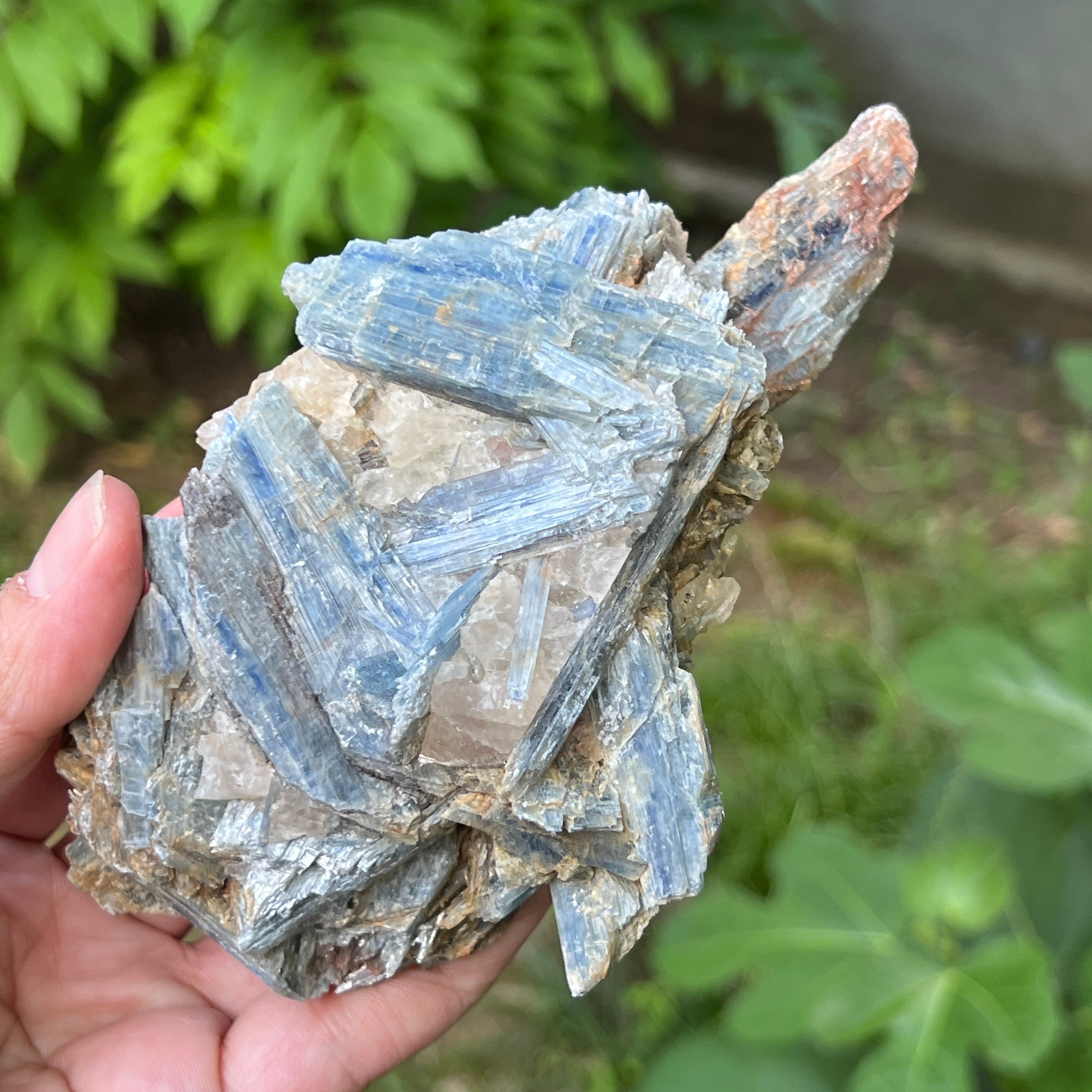 Kianit albastru (Cianit) piatra bruta din Zimbabwe model c2/1