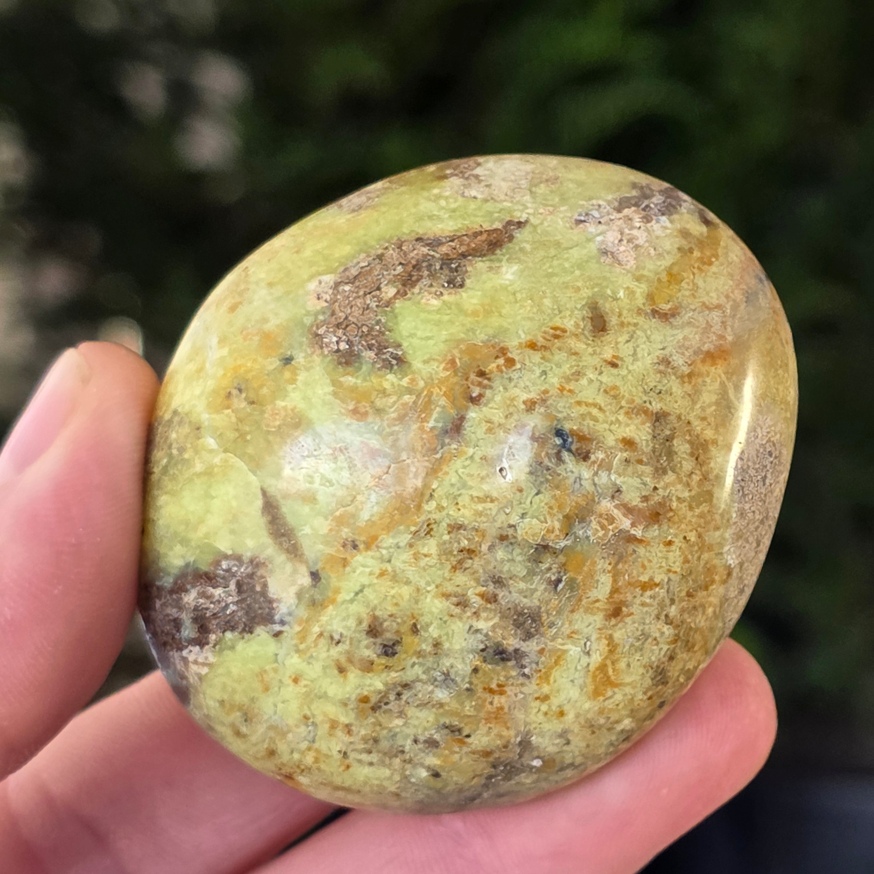 Opal verde palmstone m12
