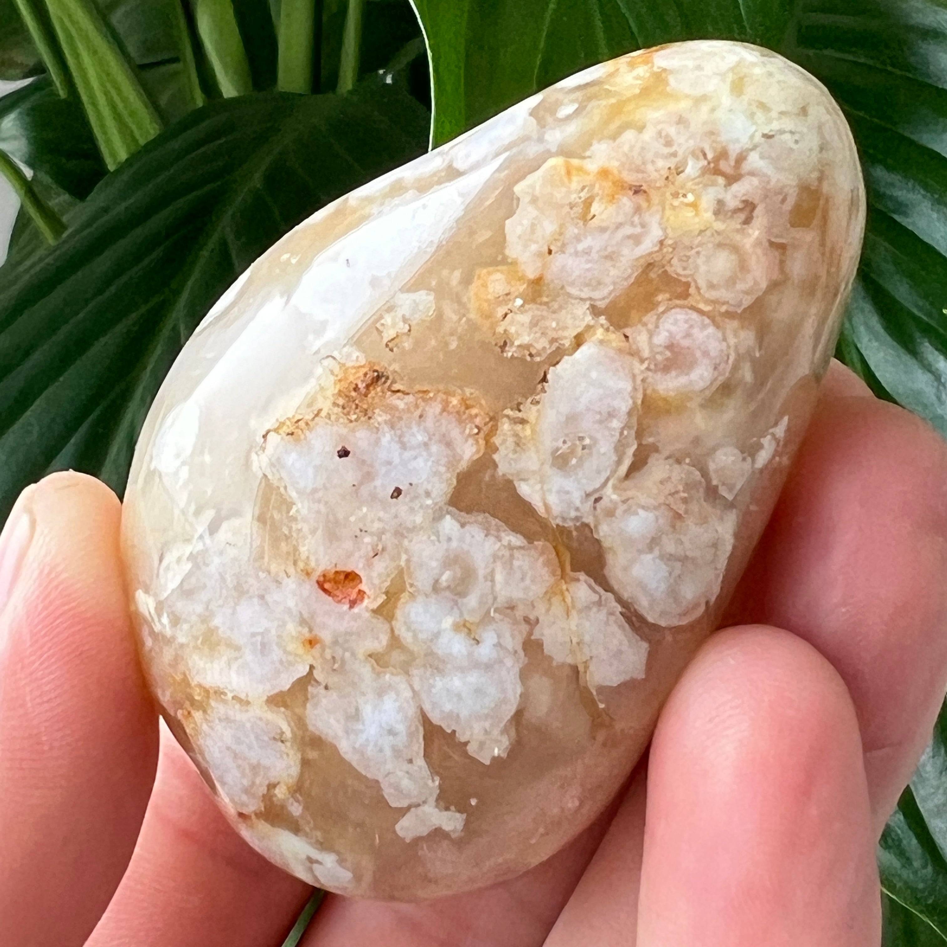 Palmstone agat coral floare m5