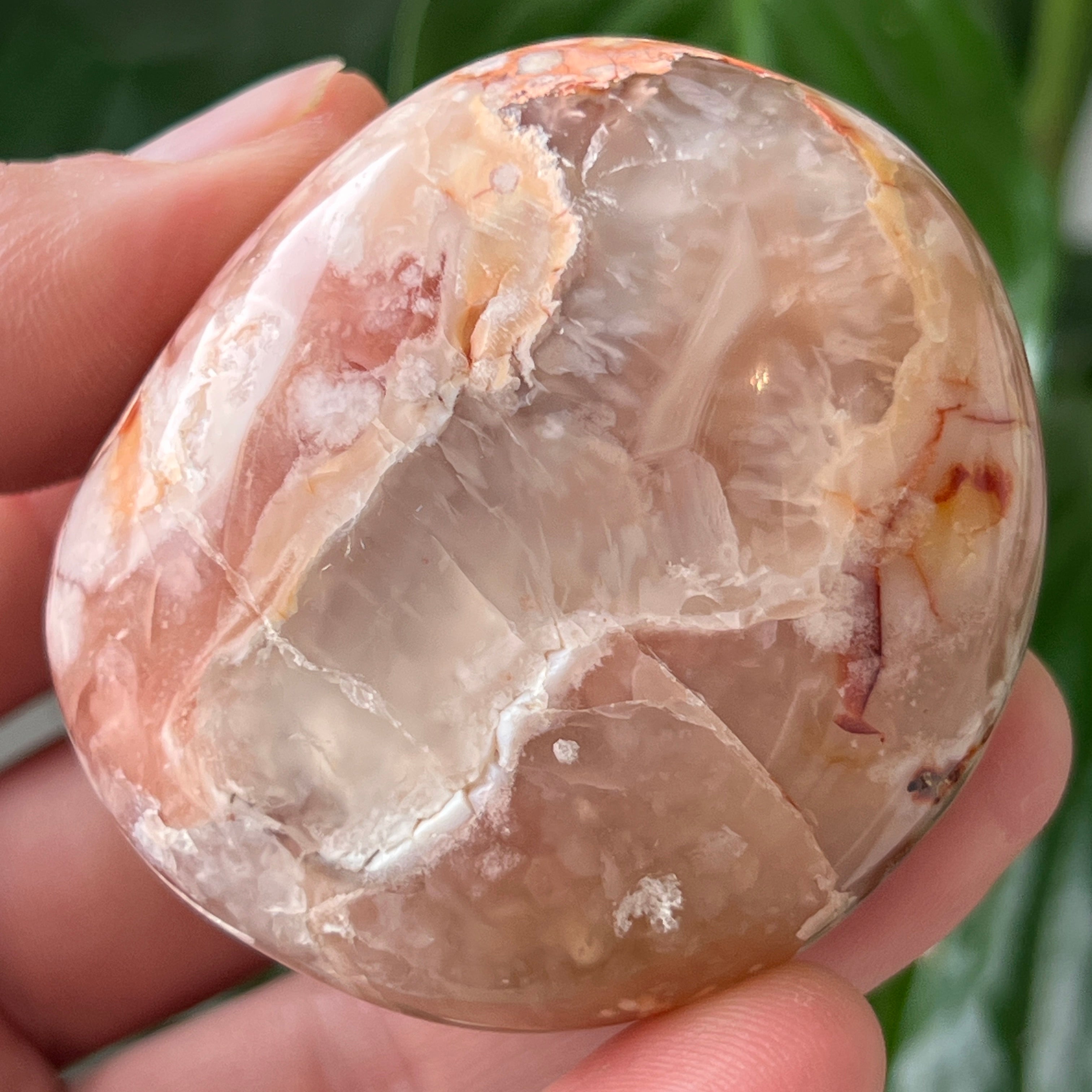 Palmstone agat coral floare rosu m26