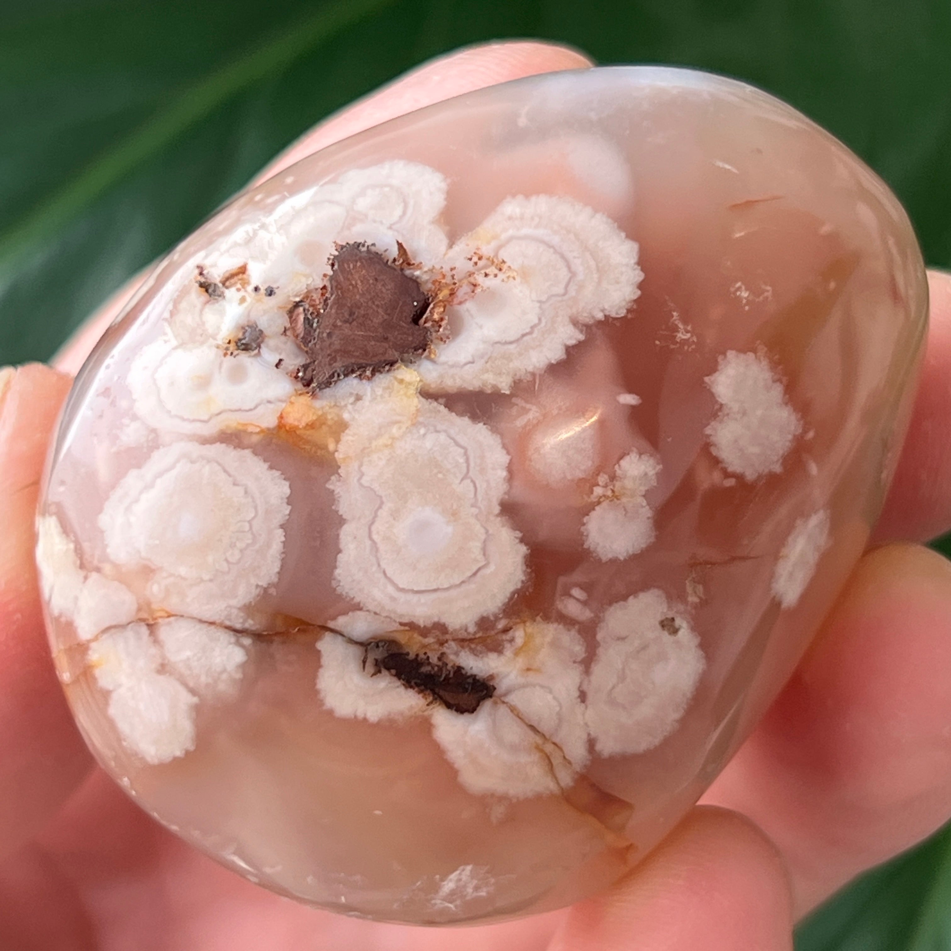 Palmstone agat coral floare rosu m30