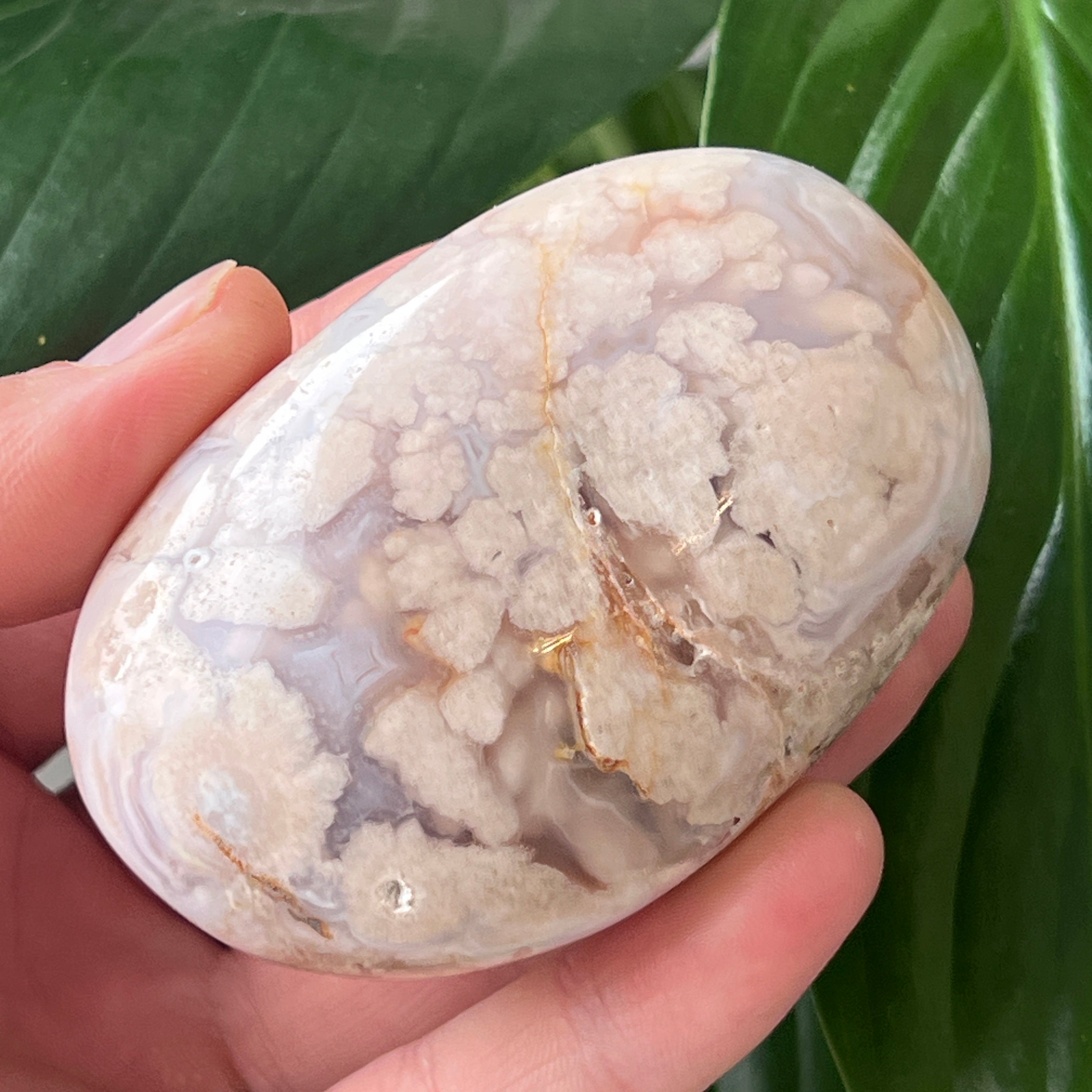 Palmstone agat coral floare rosu md10