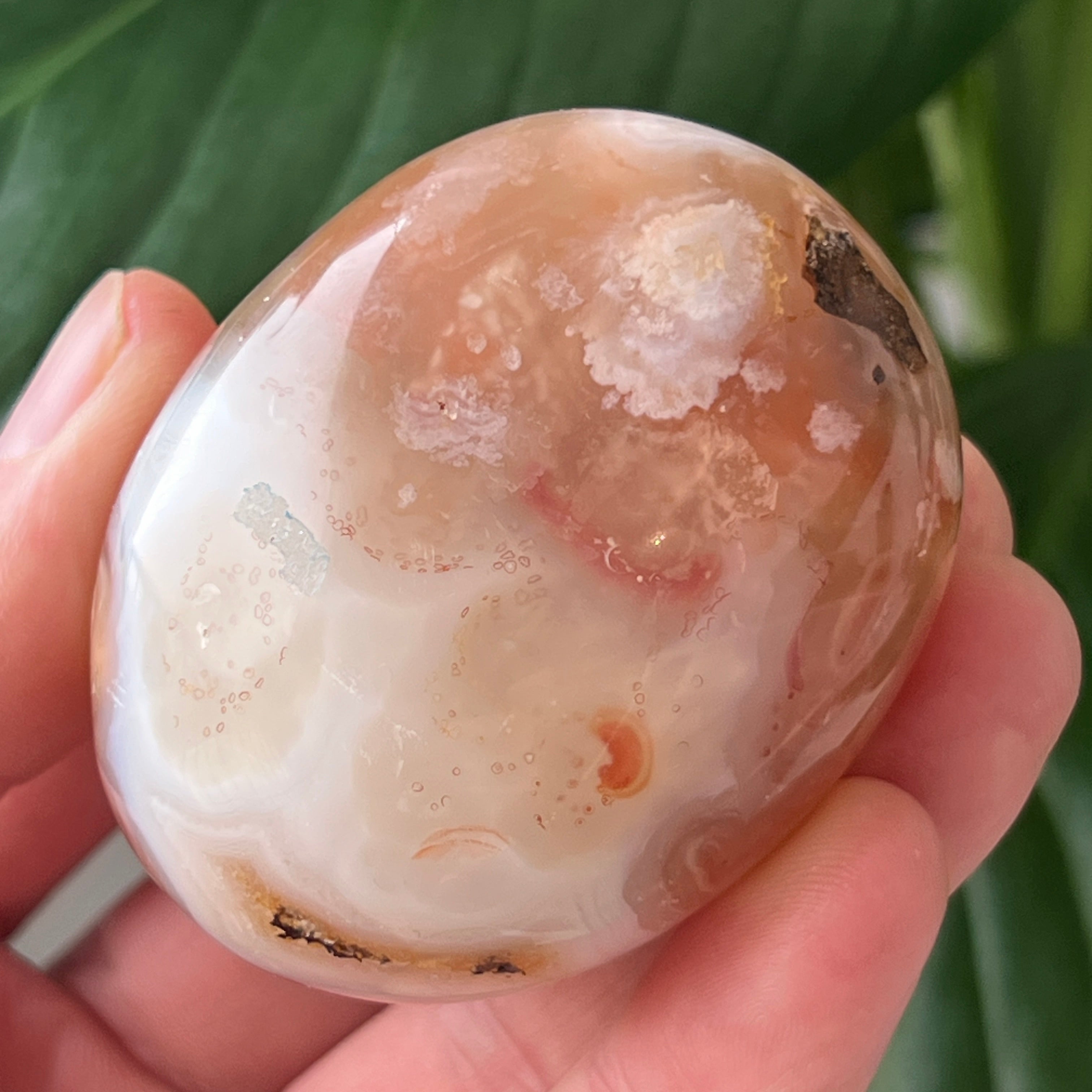 Palmstone agat coral floare rosu md11