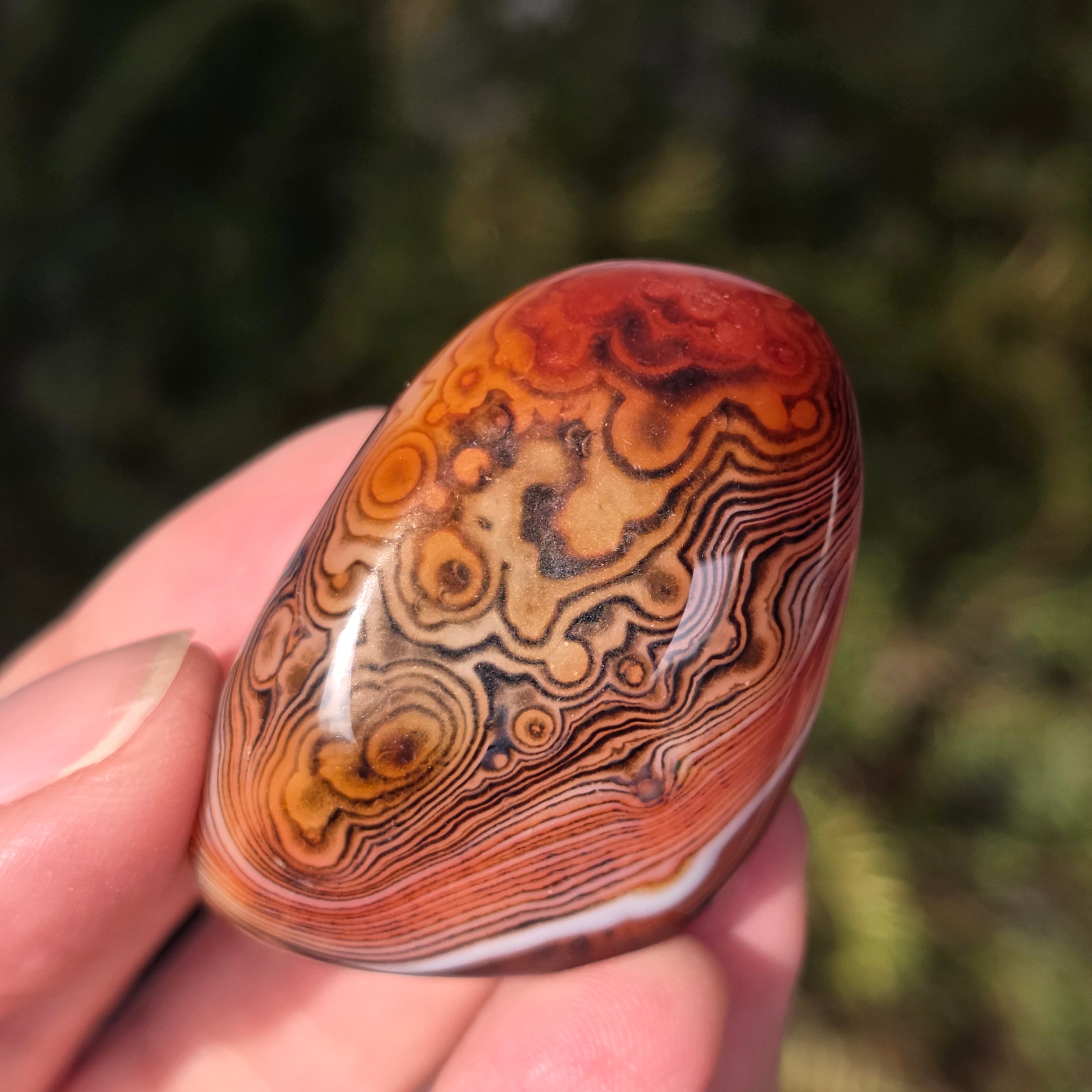 Palmstone agat dungat m5