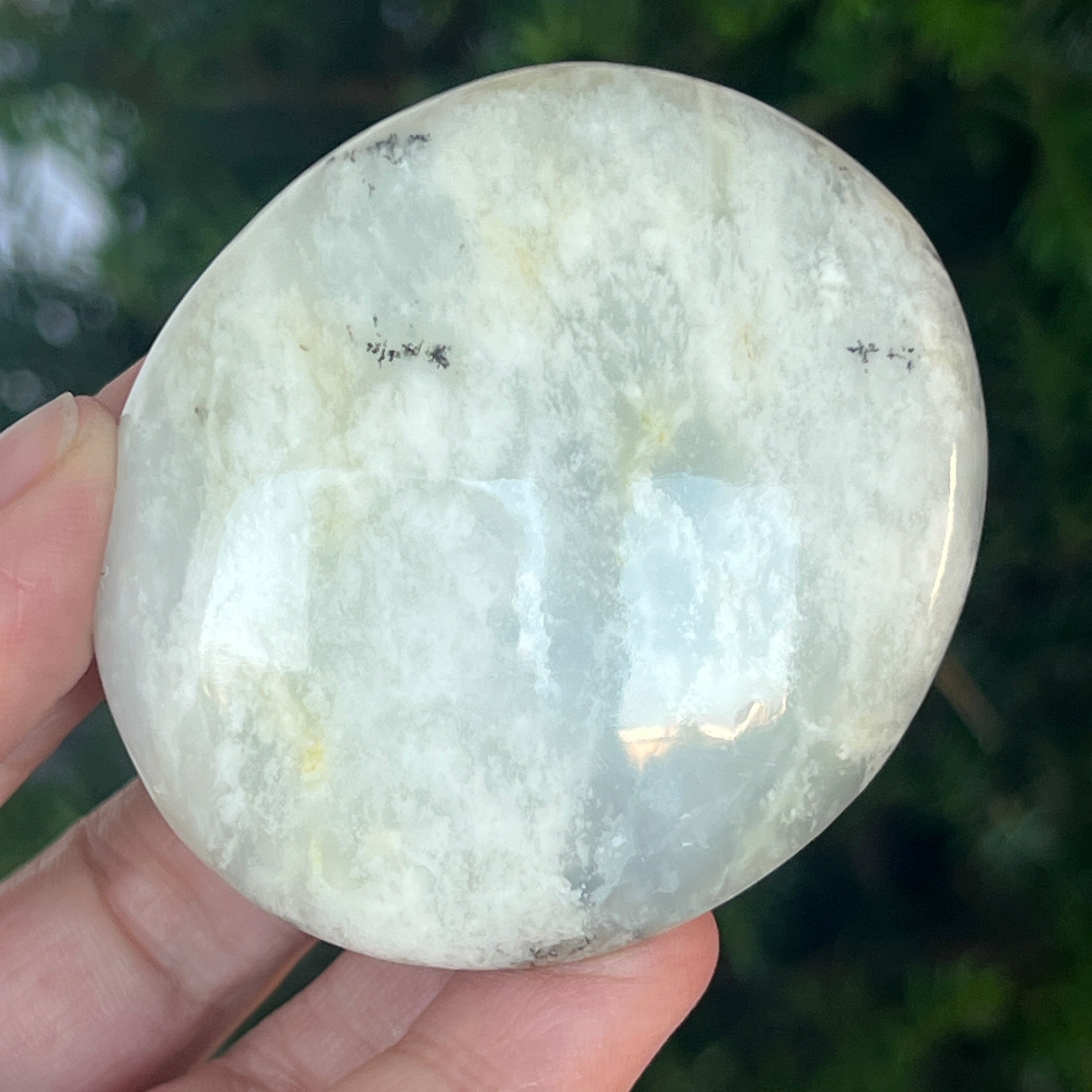 Palmstone opal alb dendritic | Model 7