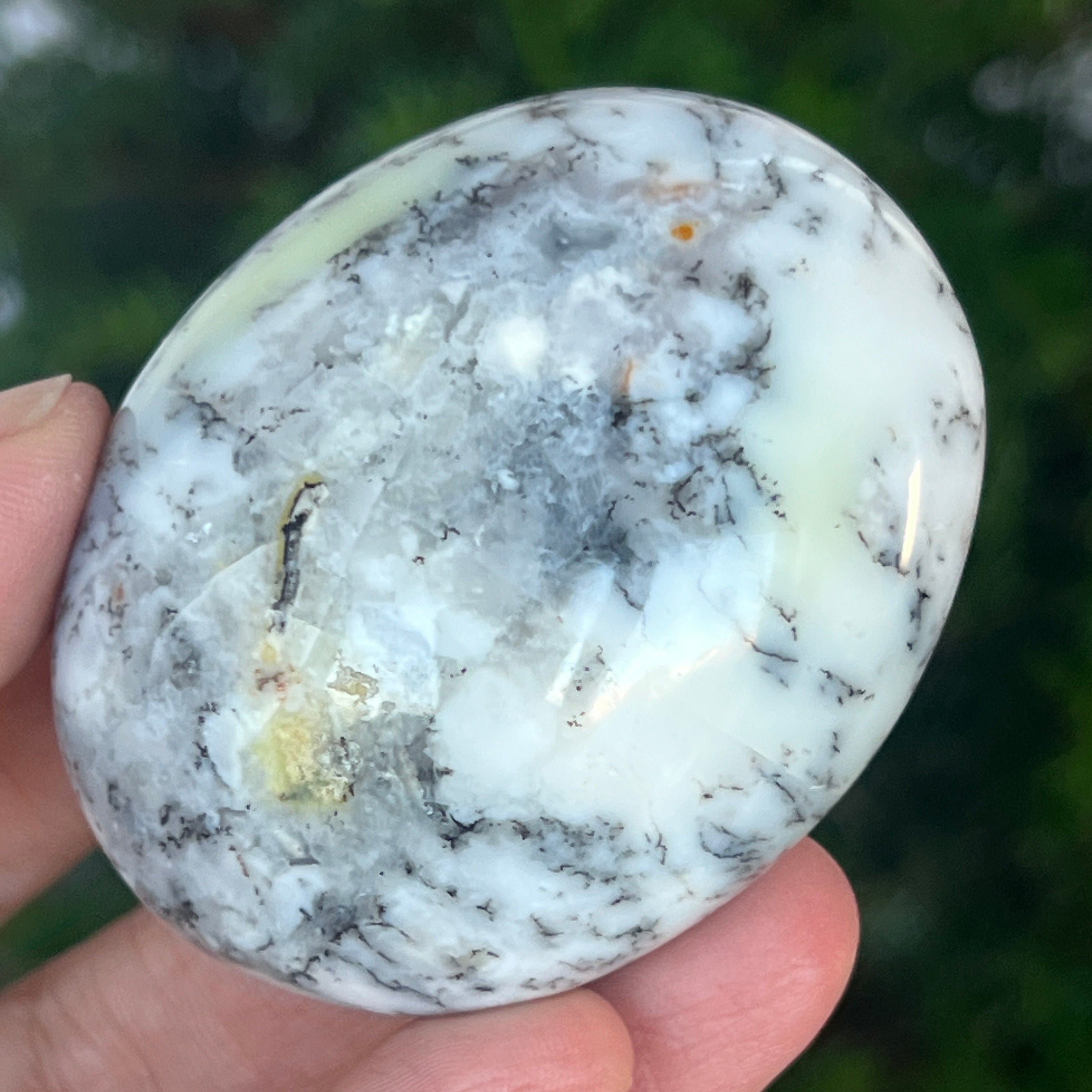 Palmstone opal alb dendritic | Model 8