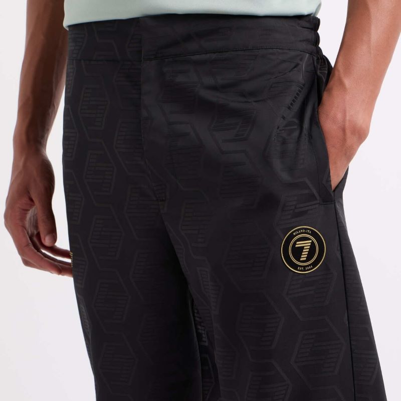 Pantaloni EA7 M PANTS GRAPHIC MATCH - poza 3
