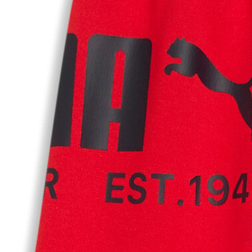 Pantaloni scurti barbati Puma Sport Graphic Shorts Tr 69223211 - poza 4