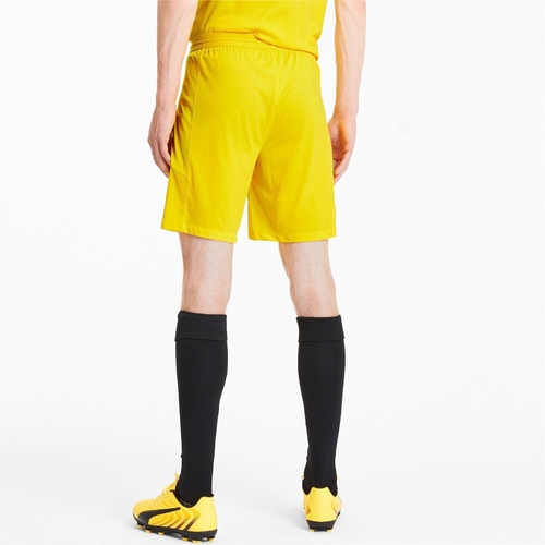 Pantaloni scurti barbati Puma Teamfinal 21 Knit Shorts 70425707 - poza 2