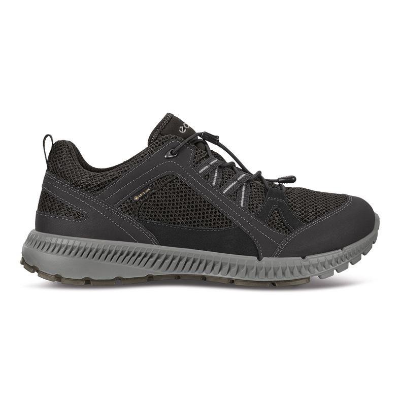 Pantofi Ecco Men's Terracruise II Gore-Tex Negru - Black - poza 2
