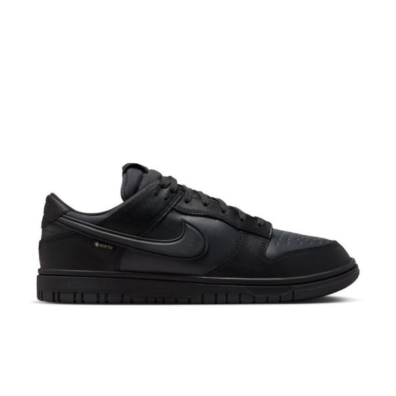 Pantofi sport Nike DUNK LOW GTX - poza 1