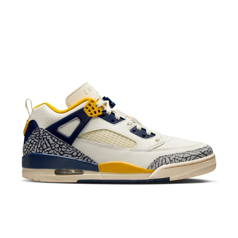 Pantofi sport Nike JORDAN SPIZIKE LOW - poza 1