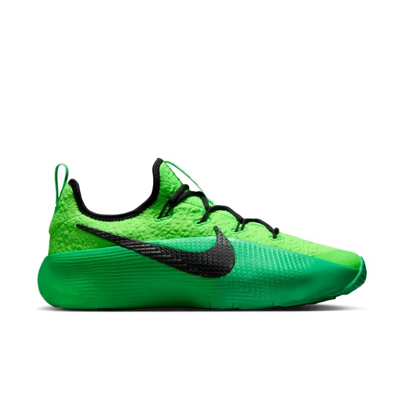 Pantofi sport Nike LEBRON TR 1