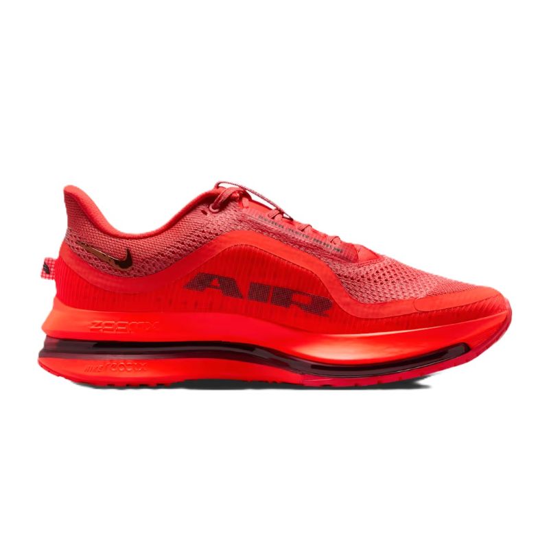 Pantofi sport Nike NIKE PEGASUS PREMIUM - poza 1
