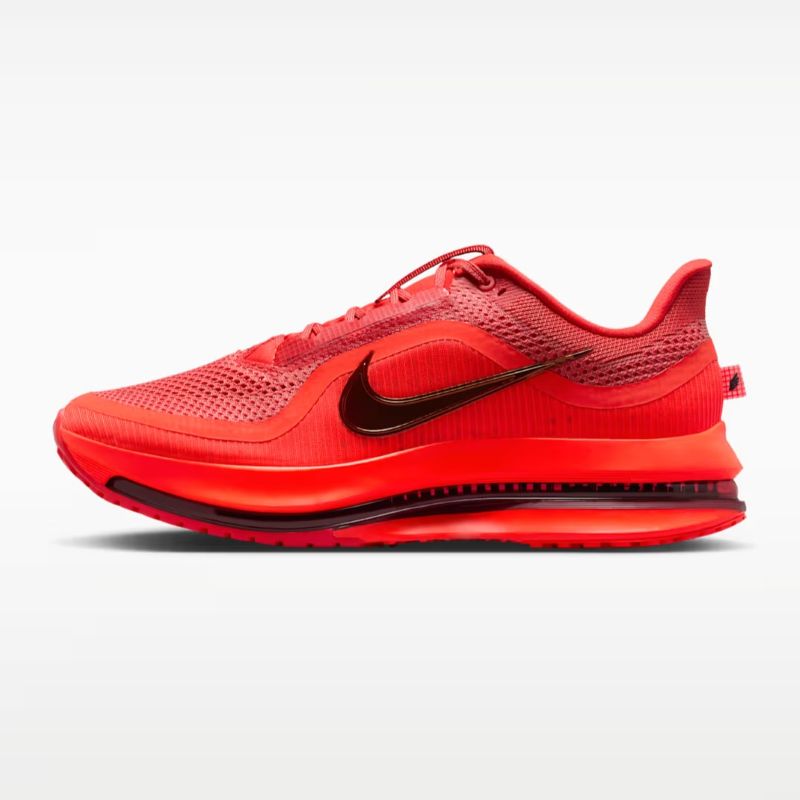 Pantofi sport Nike NIKE PEGASUS PREMIUM - poza 2