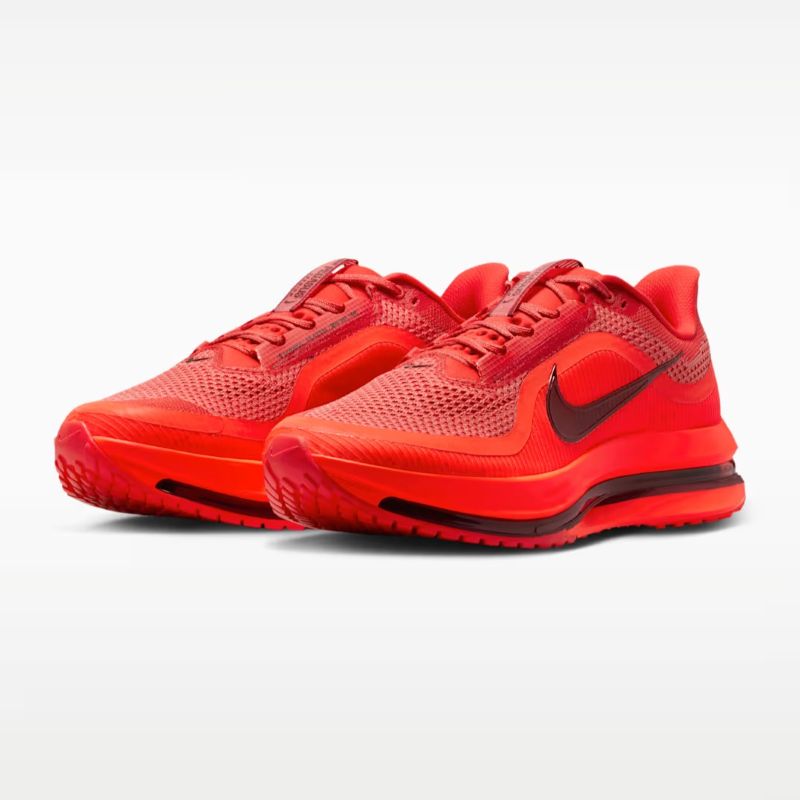Pantofi sport Nike NIKE PEGASUS PREMIUM - poza 3