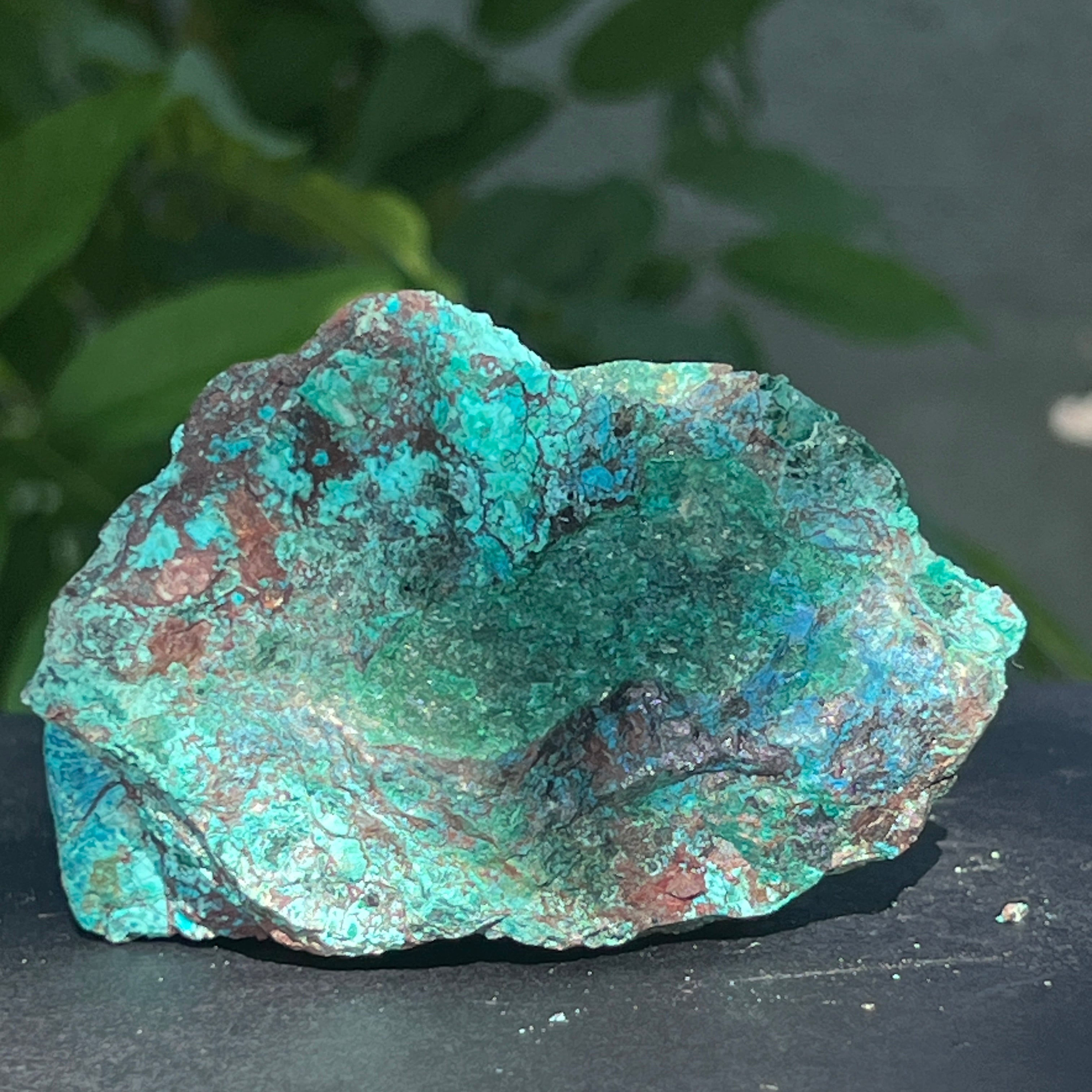Piatra bruta Shattuckite m8