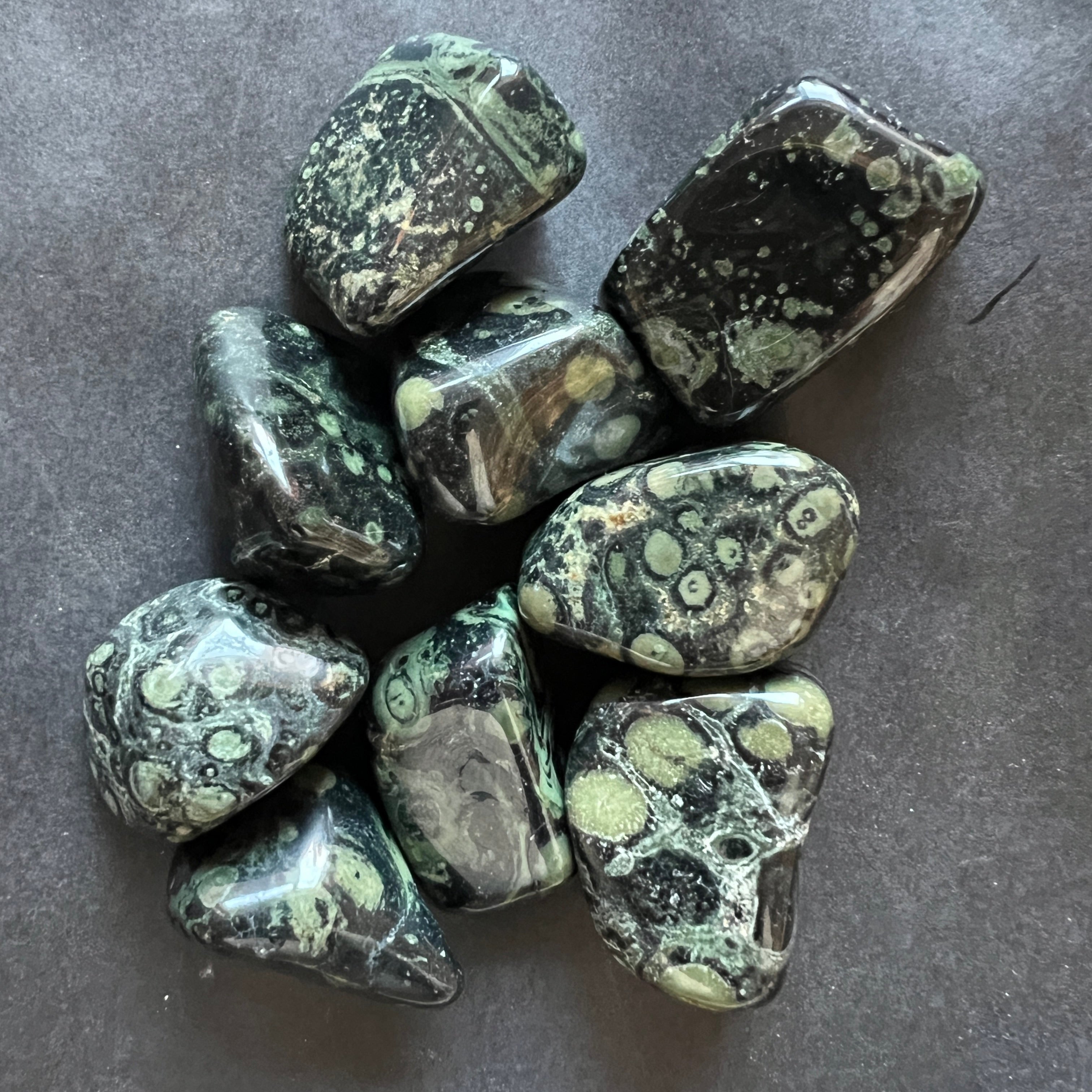 Piatra rulata jasp kambaba L