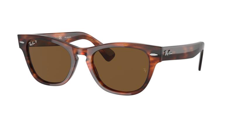 Ray-Ban RB2201 954/57 54 LARAMIE
