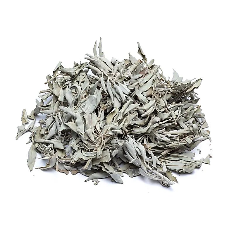 Salvie albă vrac – White Sage (Salvia Apiana) pentru purificare și ritualuri