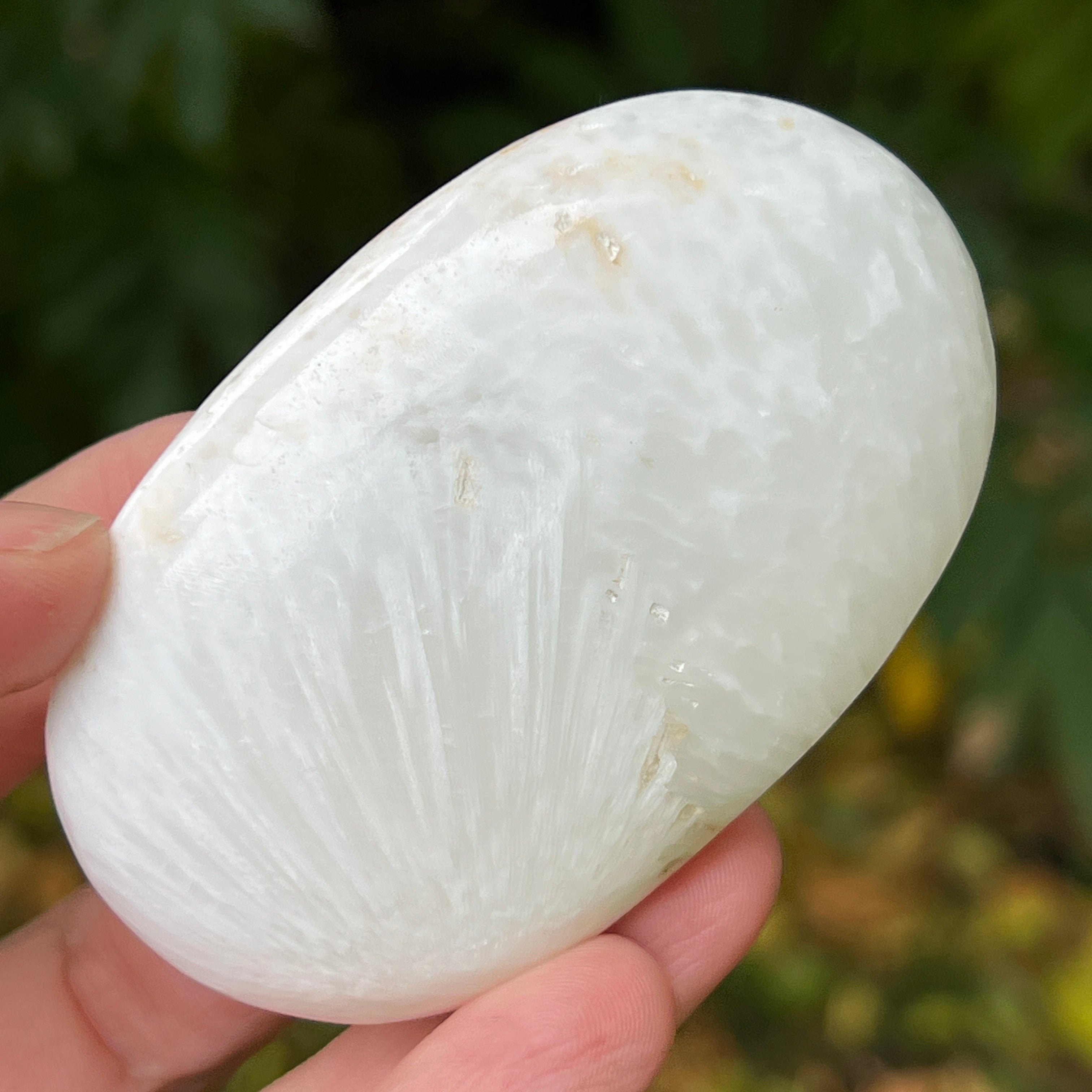 Scolecit rulat unicat -palmstone | Model 1