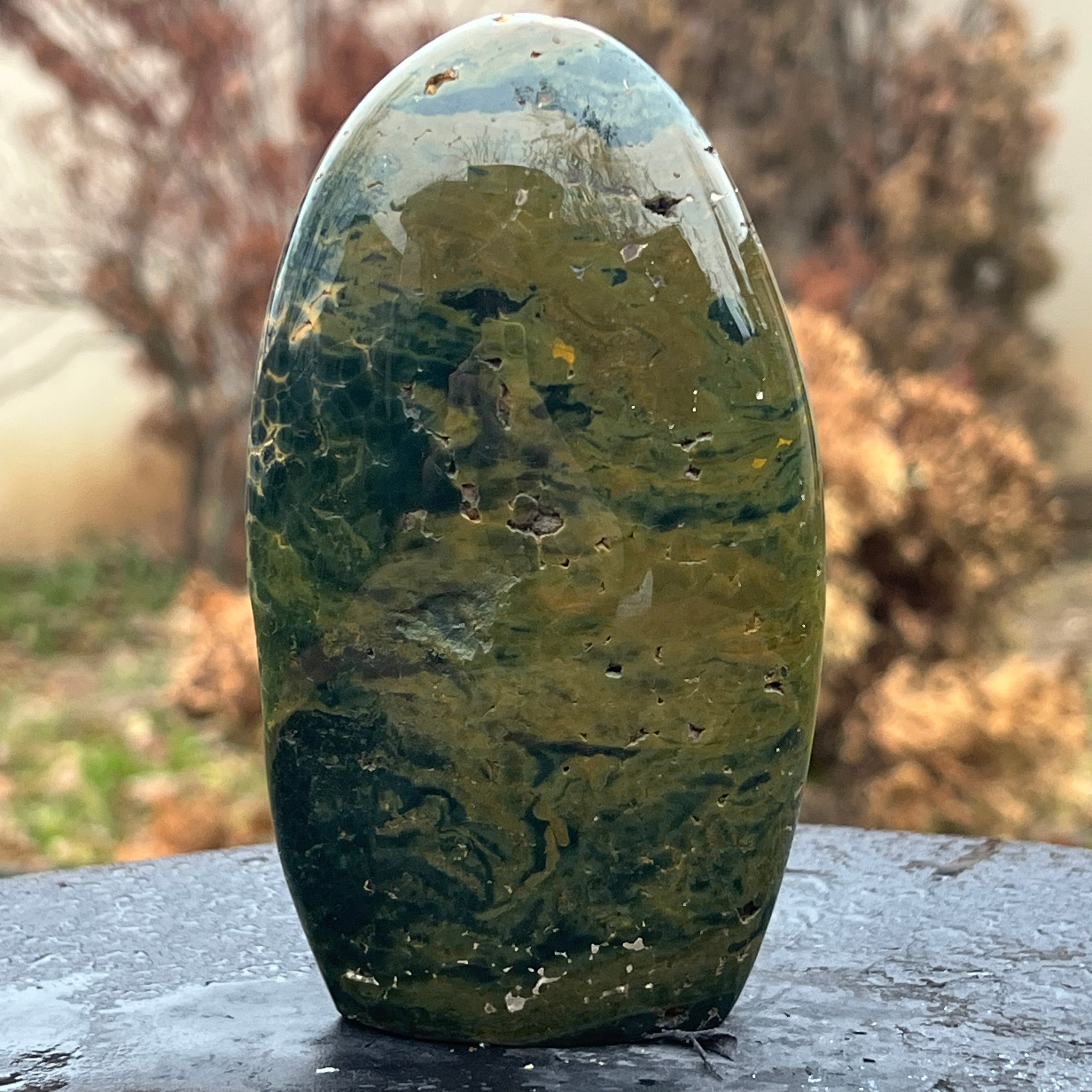 Sculptura jasp ocean model 24