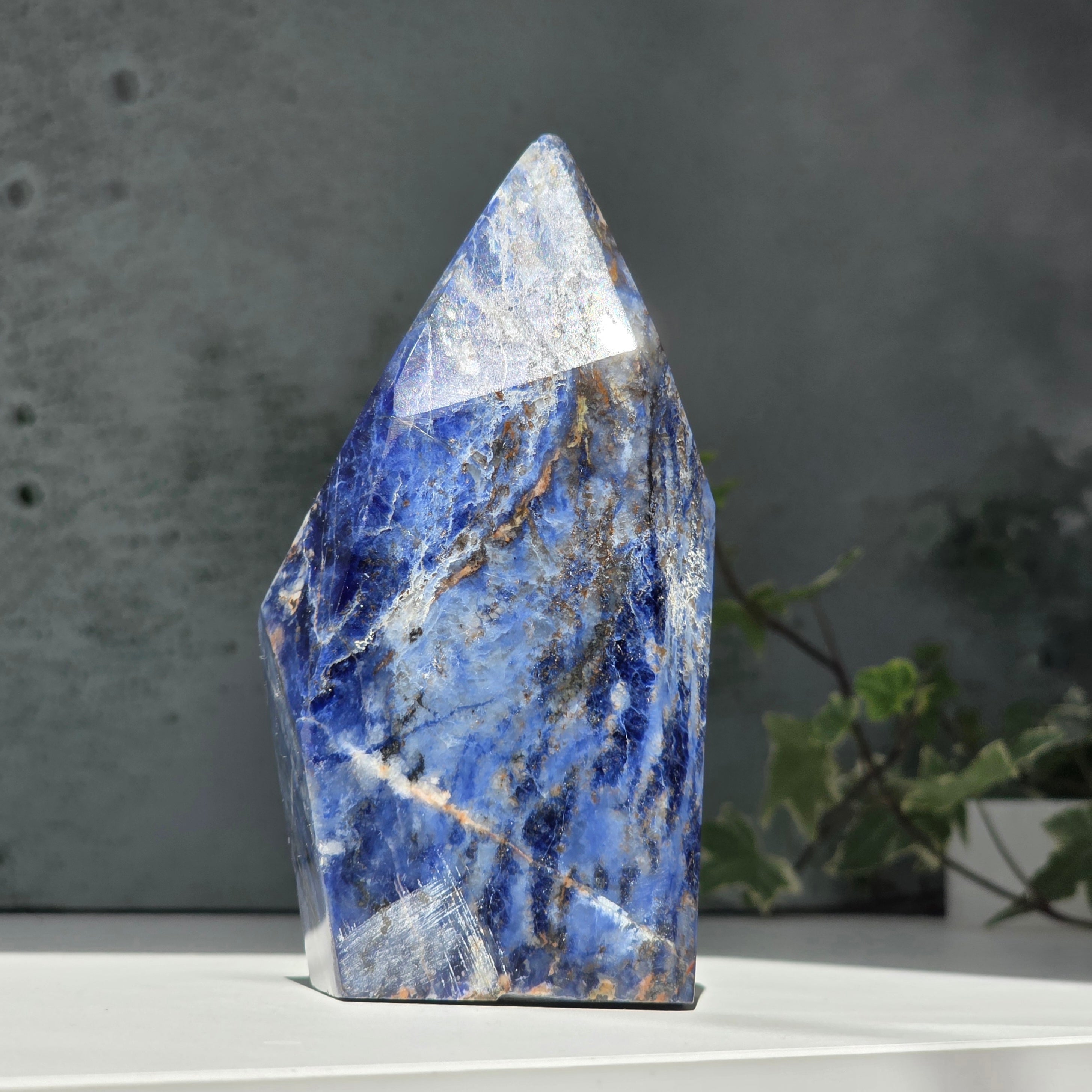 Sculptura sodalit | Model 1