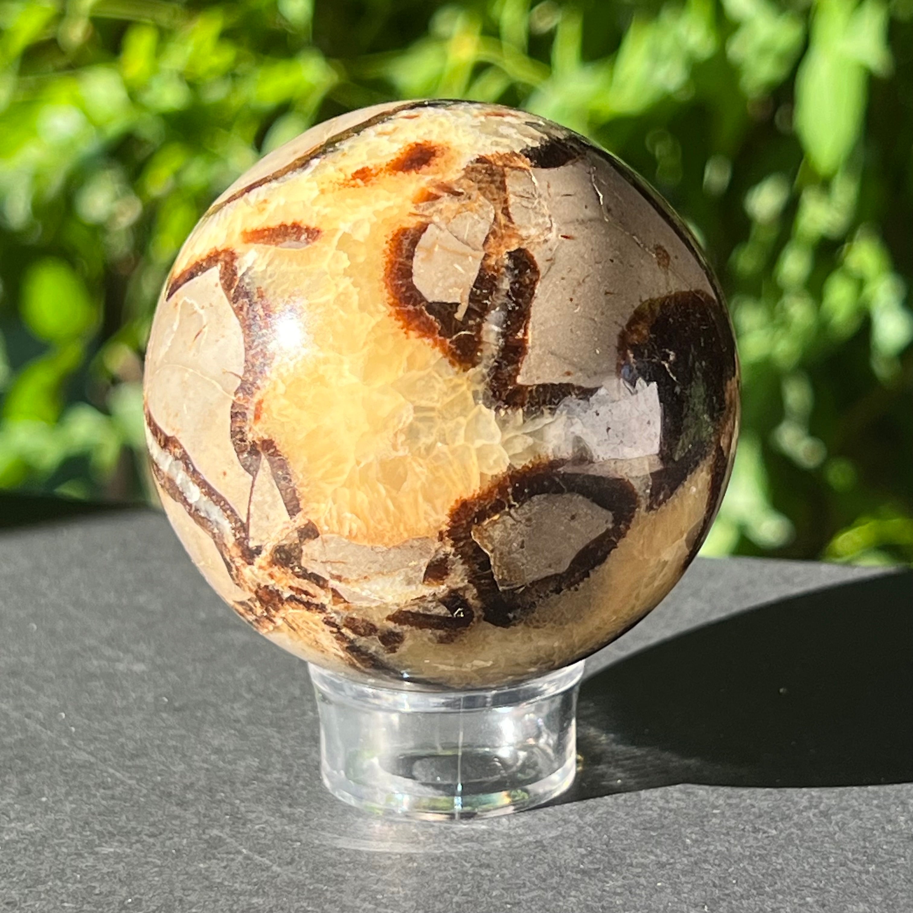 Septaria sfera 6.5 cm model 3