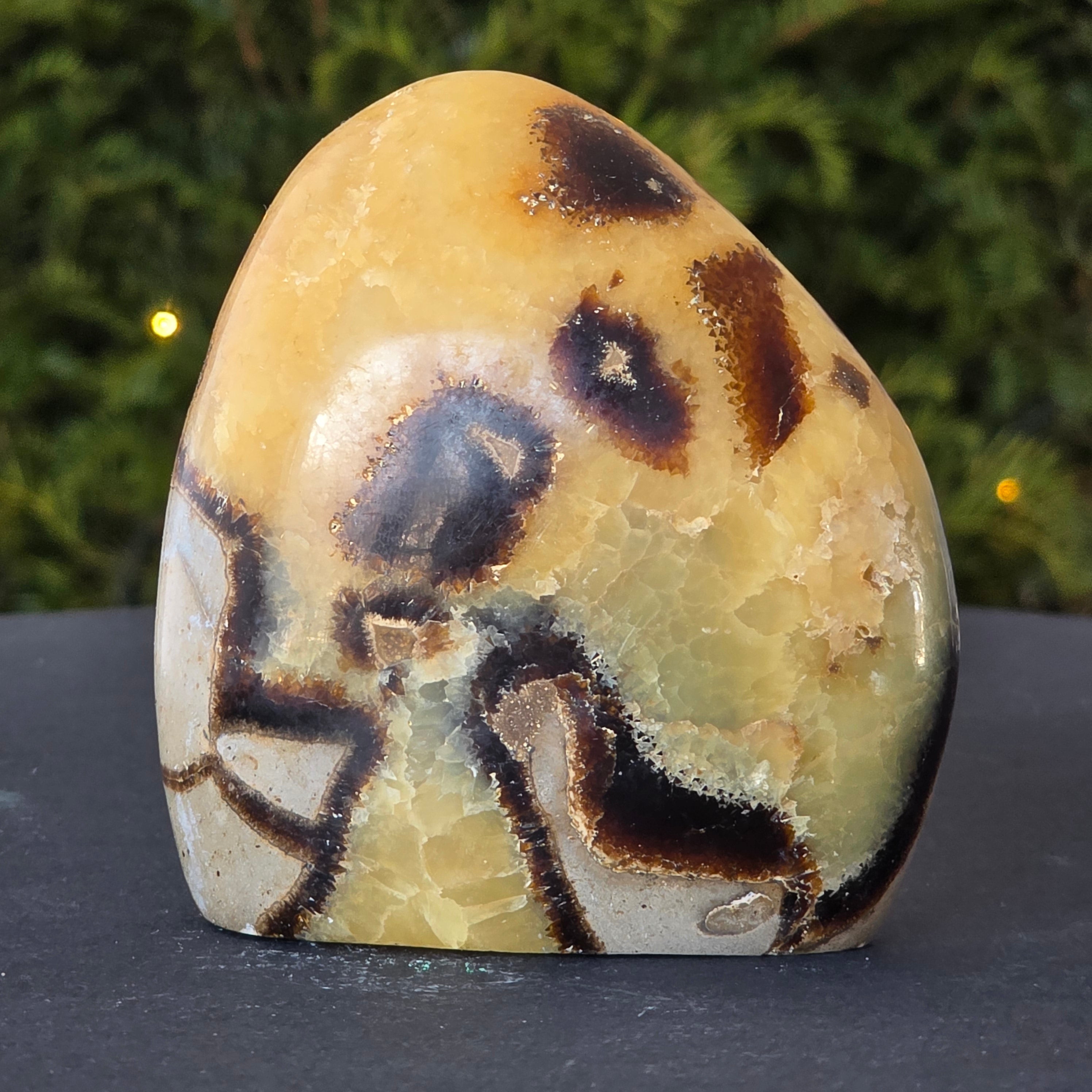 Septaria structura forma libera m3, piatra dragonului