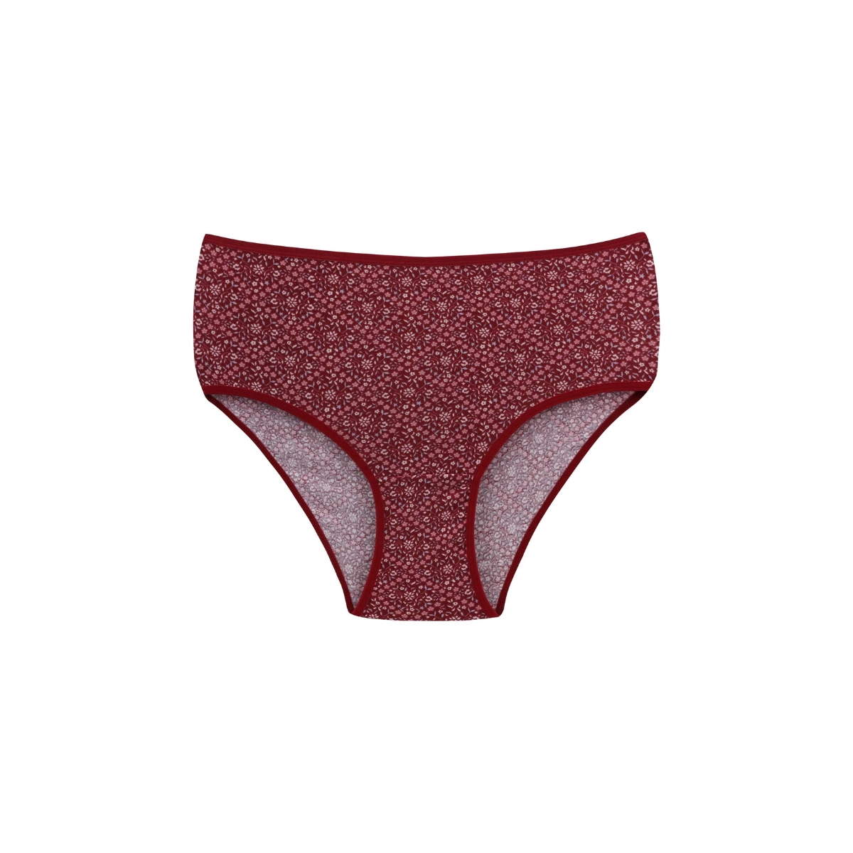 Set 2 perechi de chiloti din bumbac, pentru dama, 53600, Bordo / Albastru - poza 5