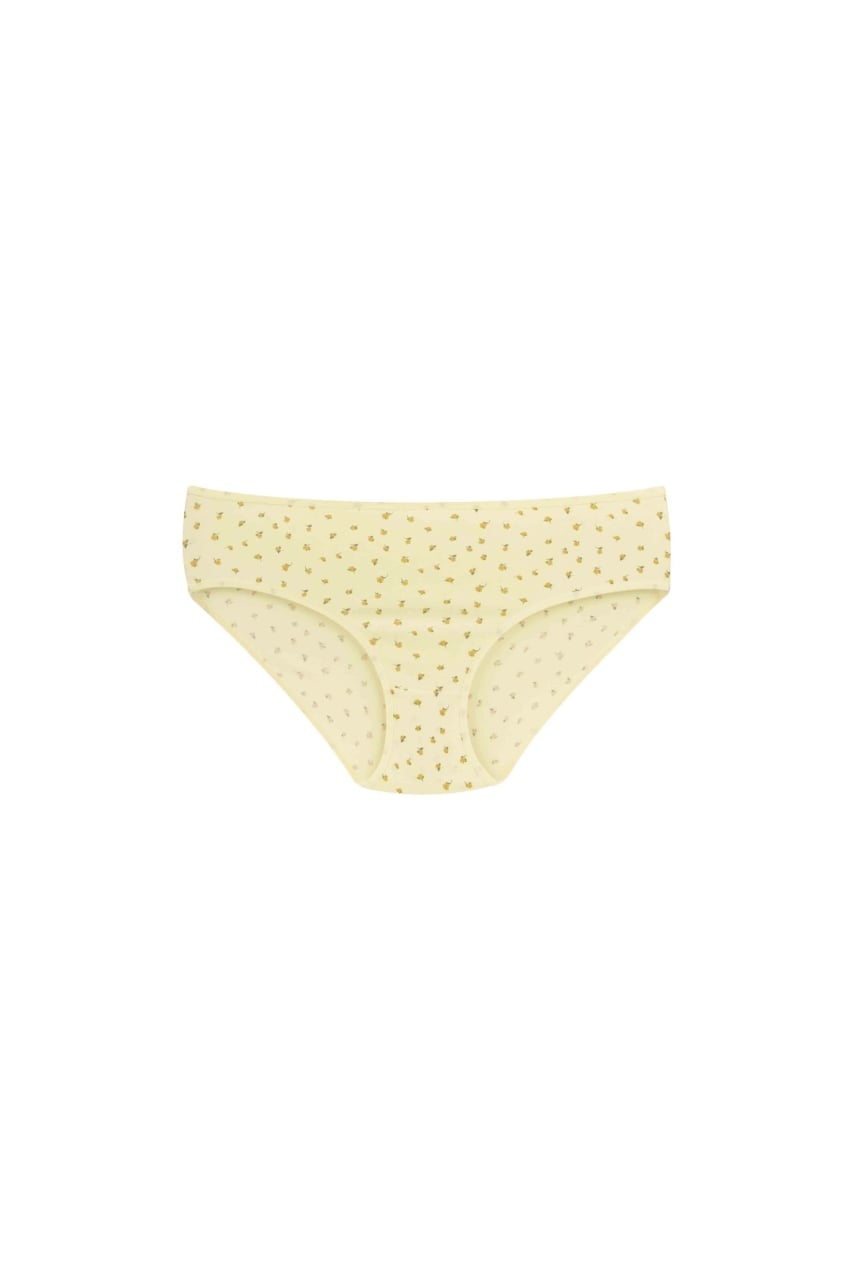 Set 5 perechi de chiloti din bumbac, pentru dama, 53500, Multicolor - poza 4