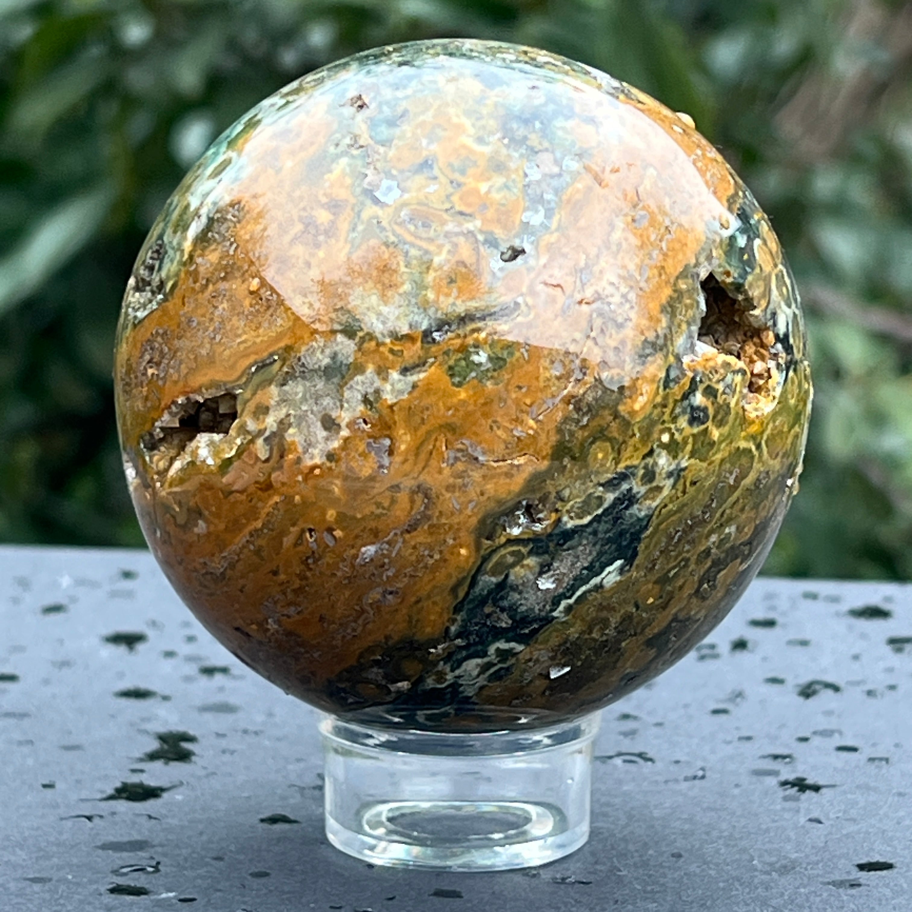 Sfera jasp ocean model 4