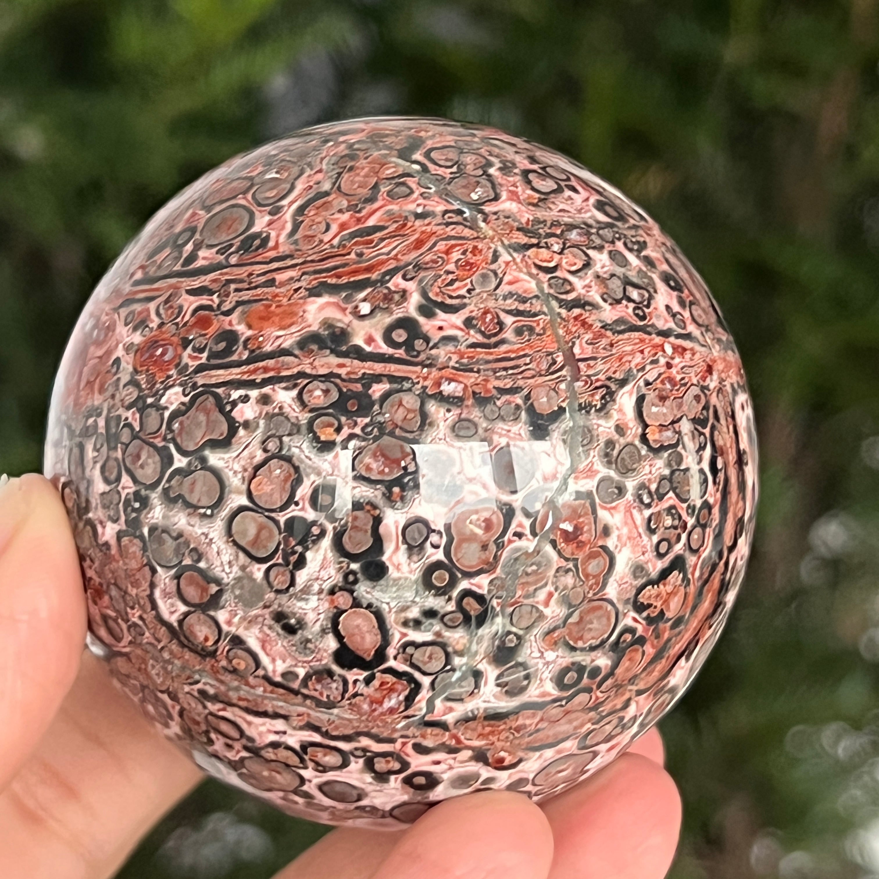 Sfera jasp piele de sarpe din Australia model 6
