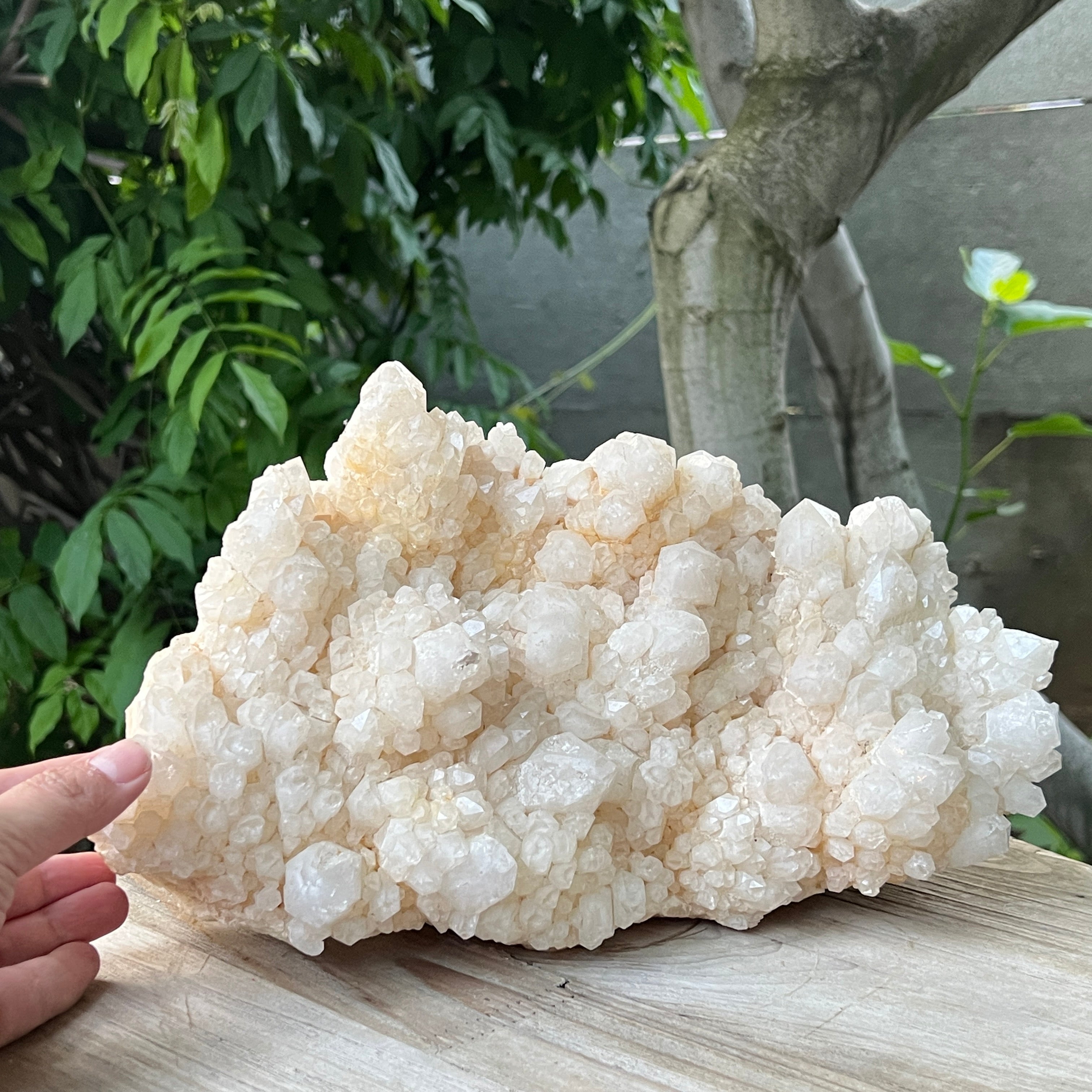 Specimen cuart fantoma, cuart ananas din Madagascar model XL2