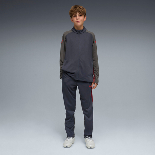 Trening copii Puma Individualliga Tracksuit Jr 66057701 - poza 3