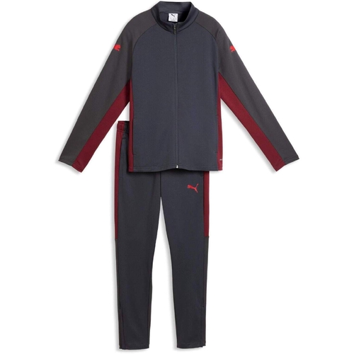 Trening copii Puma Individualliga Tracksuit Jr 66057701 - poza 5