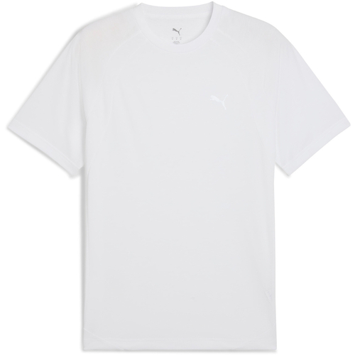 Tricou barbati Puma Evostripe Tee 68822902 - poza 1