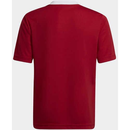 Tricou copii adidas Jr Ent22 Jersey H57496 - poza 2