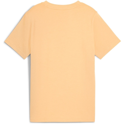 Tricou copii Puma Ess 2 Color No1 Logo Tee B 68577841 - poza 2