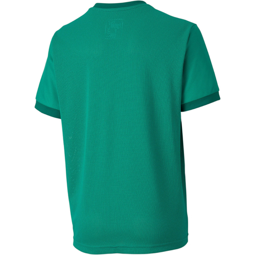 Tricou copii Puma Teamgoal 23 Jersey Jr 70416005 - poza 2