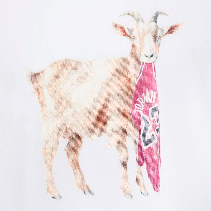 Tricou Nike JDB MJ FLT GOAT SS CREW - poza 3