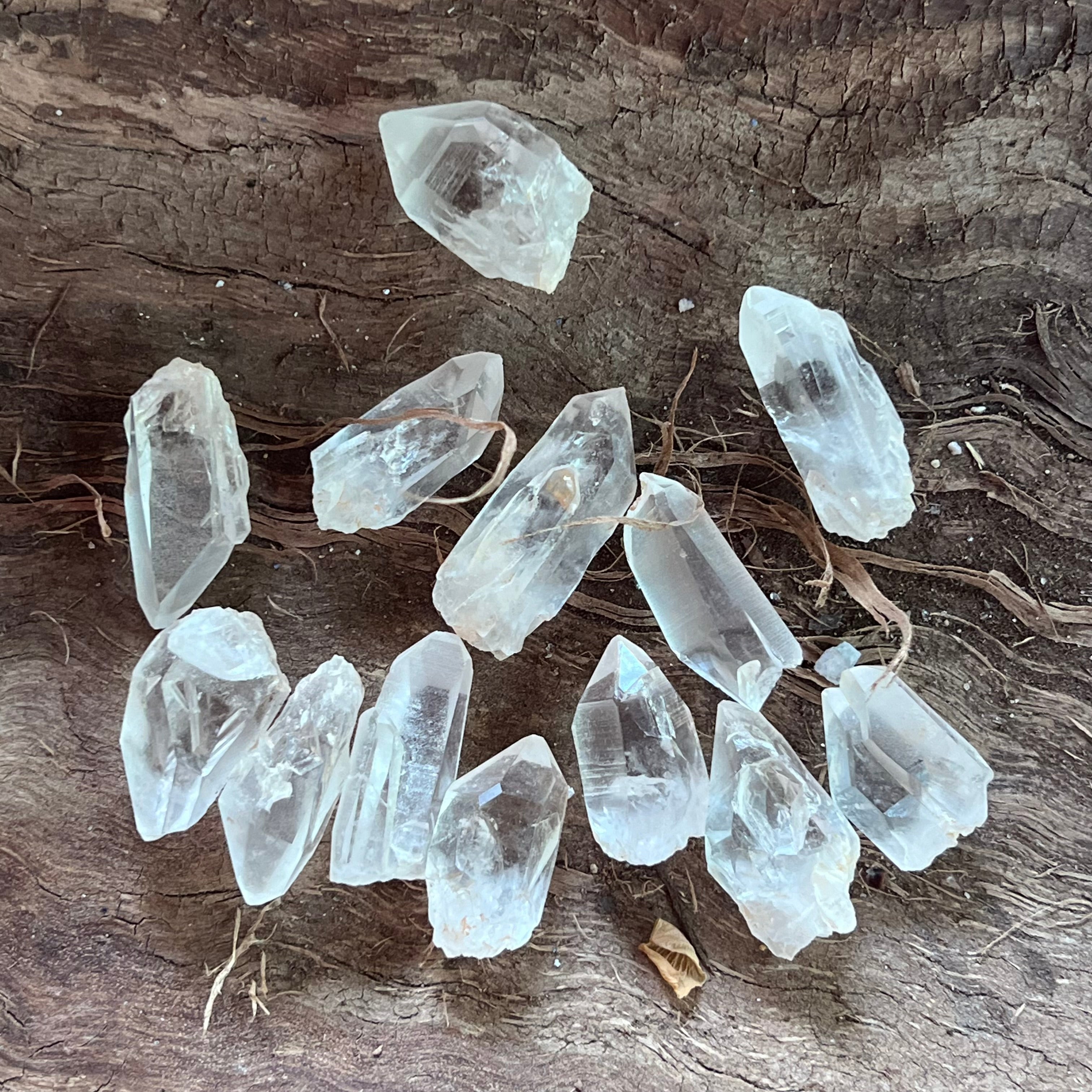 Varf cuart lemurian